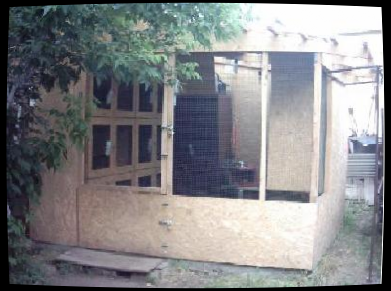 kennel